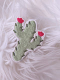 Cactus Patch