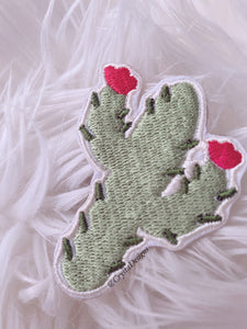 Cactus Patch